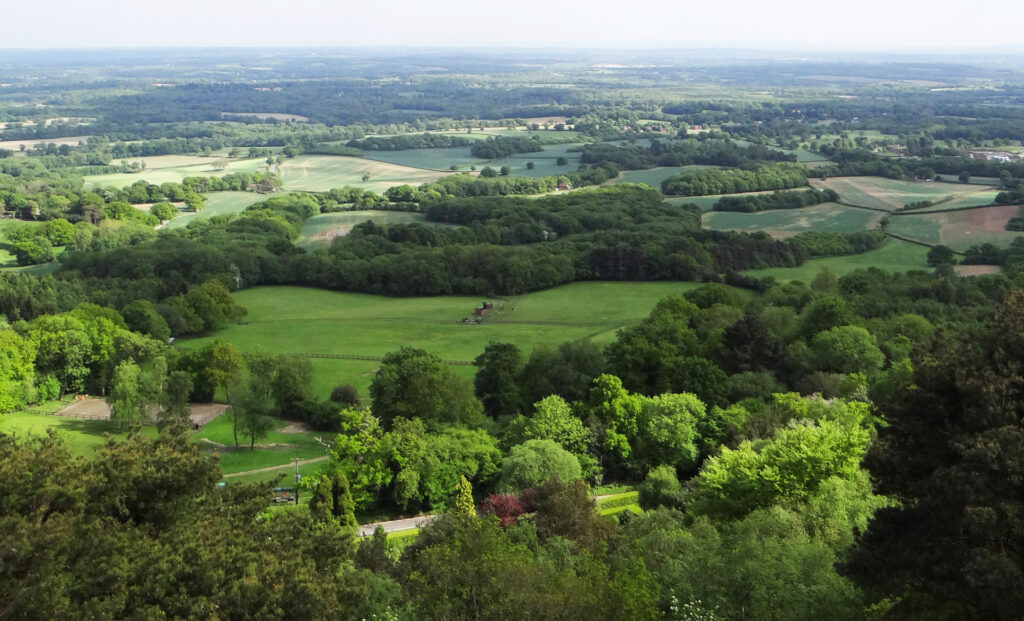 Surrey-Hills-Wine-Week