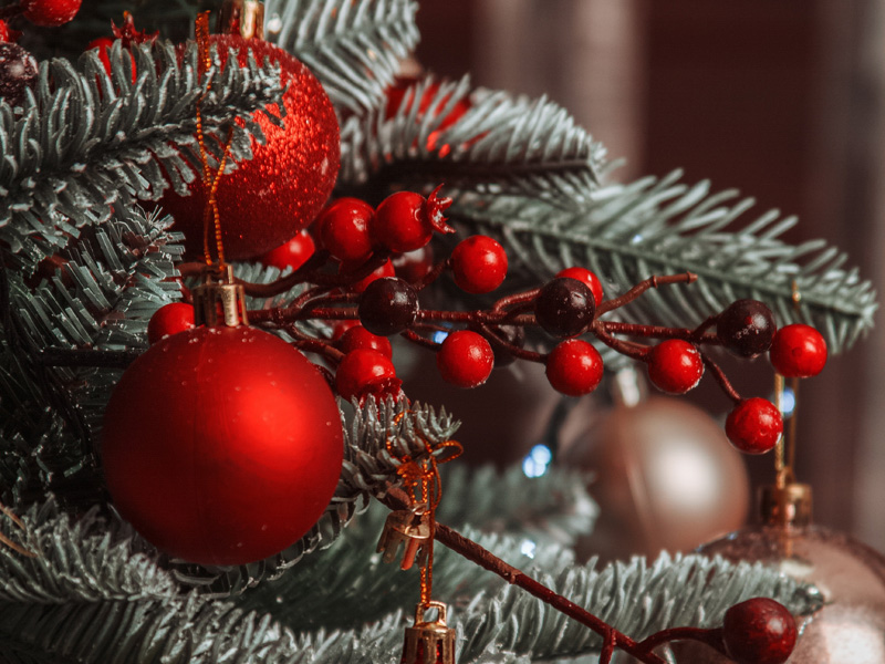 Christmas-special-offer