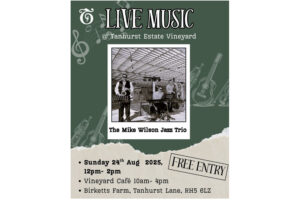 Live-Jazz-music