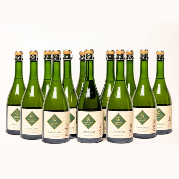 A Case (12 bottles) Felday Classic Cuvée 2022 75 cl
