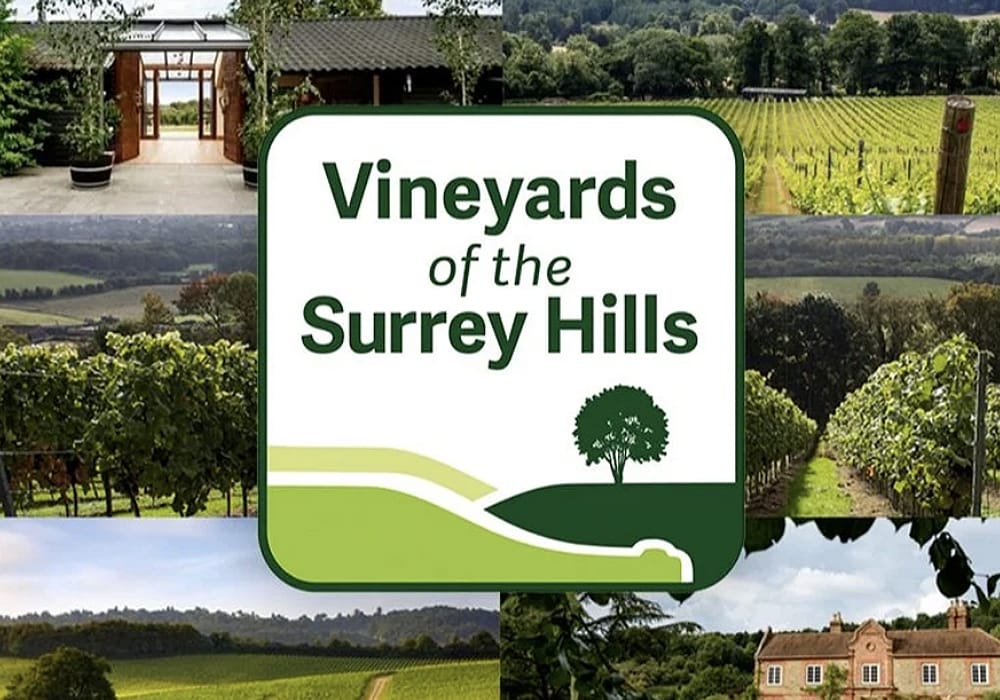 Vineyards-of-the-Surrey-Hills