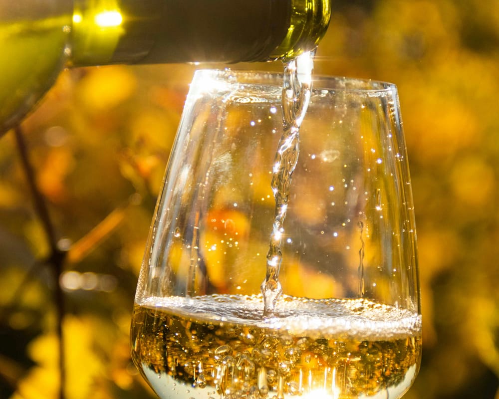 Booking-wine-tours