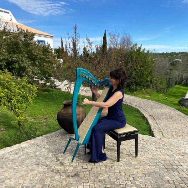 Midsummer-music-and-wine