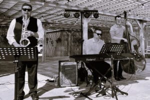 Tanhurst-Estate-festival-of-wine